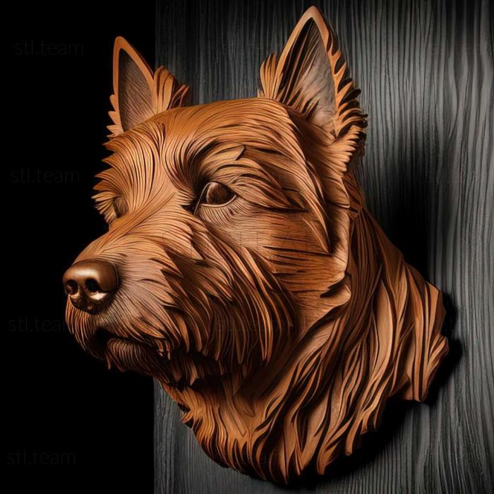 Australian Terrier dog